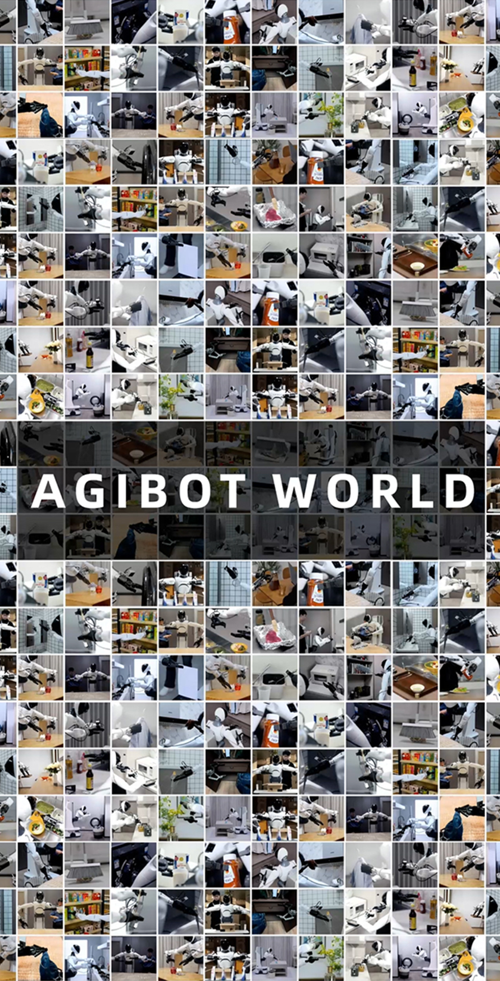 今年会开源百万真机数据集